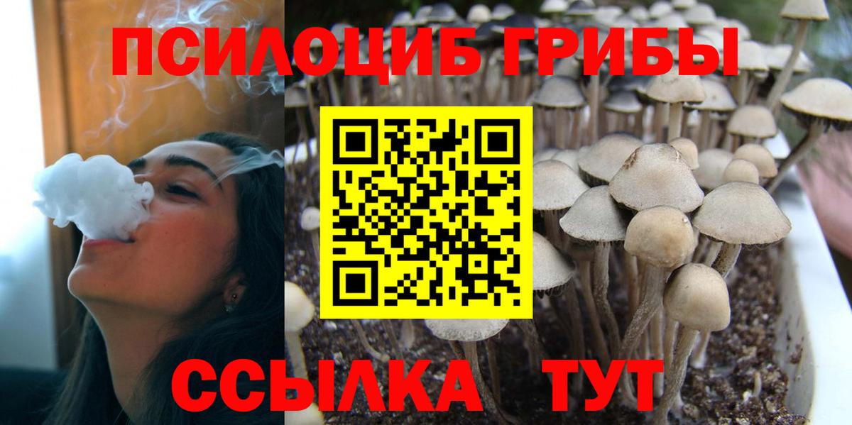 Галлюциногенные грибы MAGIC MUSHROOMS  Вход с VPN  Анжеро-Судженск  хочу   Галлюциногенные грибы GOLDEN TEACHER 